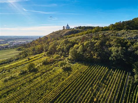 Za moravským a českým vínem Tipy a novinky Turistika cz