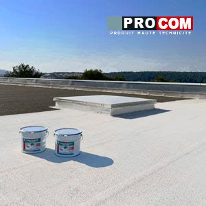 Peinture Toiture Tanche Cool Roof Peinture R Fl Chissante Blanche