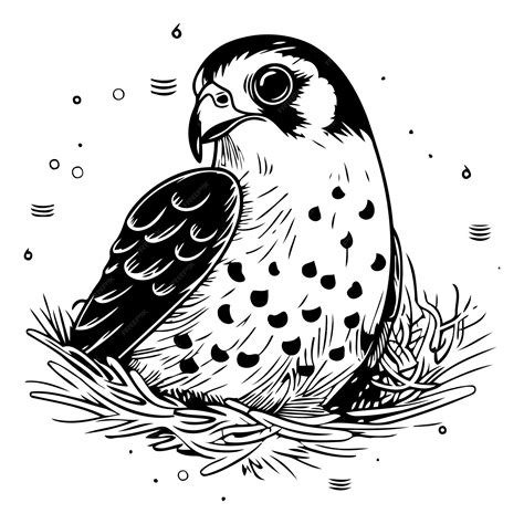 Premium Vector | Peregrine falcon in a nest Vector illustration