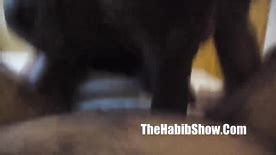 Brasileira Orgy Banged Hood Freak Pussy Cnn Amador