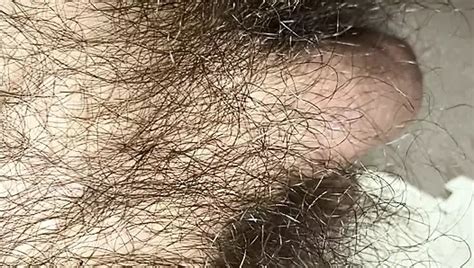 Closeup Of My Very Hairy Pubes And Flaccid Uncut Shaft And Balls Gay Porn Xhamster
