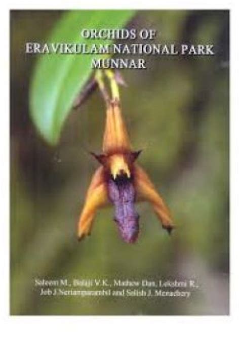 Orchids Of Eravikulam National Park Munnar Nhbs Field Guides