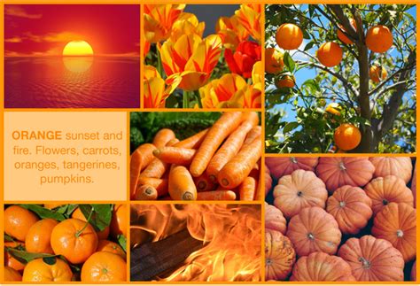 vibrant orange exploring  color   energetic delights
