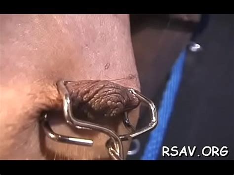 Miel de sein se fait r le mamelon dans une scène de style sadomasochisme XVIDEOS