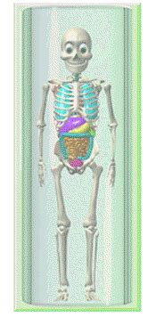 spooky scary skeleton blank template imgflip