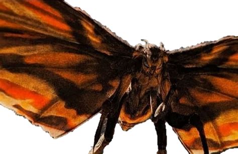 Mothra 2019 Transparent Ver 3 By Lincolnlover1865 On Deviantart