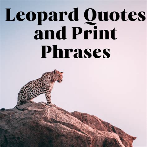 77 Powerful Leopard Quotes And Print Phrases Darling Quote