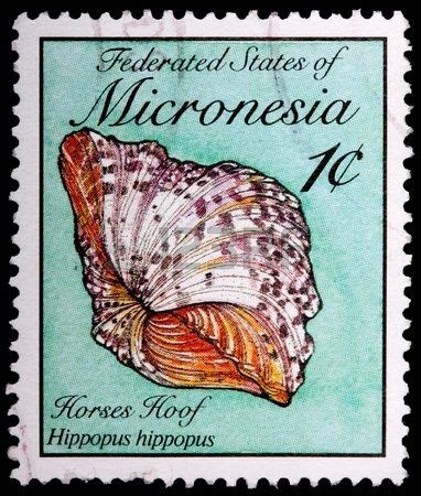 Federated States Of Micronesia Circa A Cent Stamp Printed