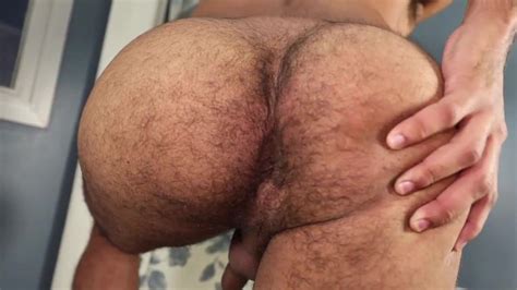 Assholes Brazilian S Hairy Ass ThisVid