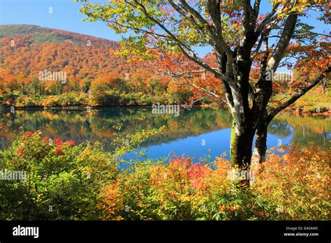 Akita Prefecture, Japan Stock Photo - Alamy