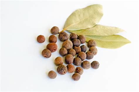 Bay Leaf And Allspice Free Stock Photo - Public Domain Pictures