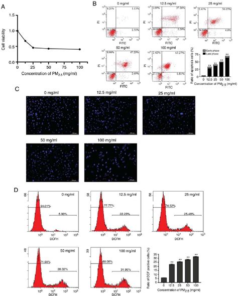 Figure 1 From Curcumin Protects BEAS2B Cells From PM2 5induced