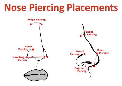 The Ultimate Guide To Nose Rings And Nose Piercings Nose Piercing Nose