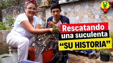 Historia De Amor Verde Salvando Una Suculenta Especial Con Un