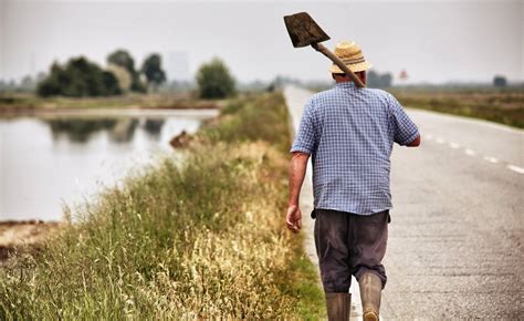 ESONERO CONTRIBUTI UNDER 40 RisoItaliano Il Portale Del Riso