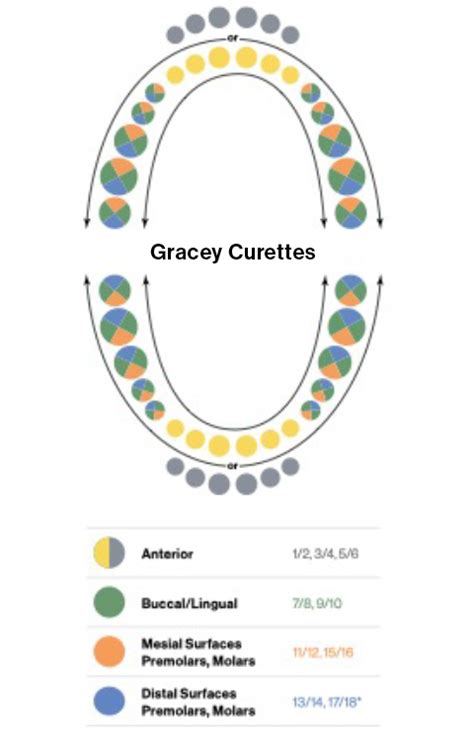 Gracey Scaler Chart Hu Friedy Curette Gracey Scaler 34 Hdl 9 Everedge