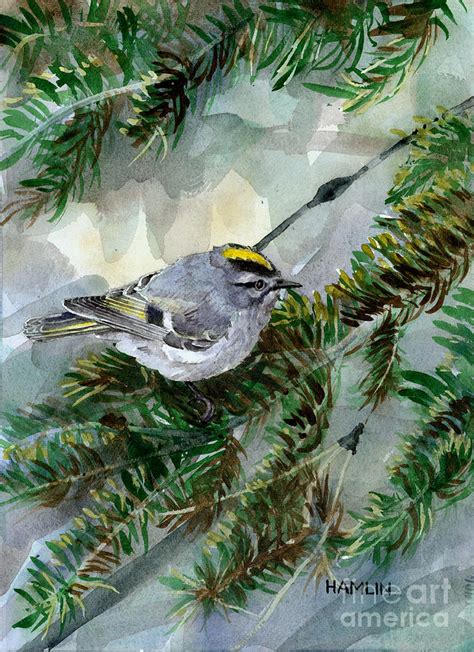 Golden Crowned Kinglet Painting By Steve Hamlin Pixels