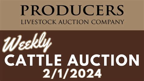 2 1 2024 Cattle Auction YouTube