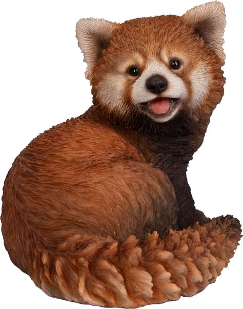 Vivid Arts Red Panda Pp Rpan F Uk Garden