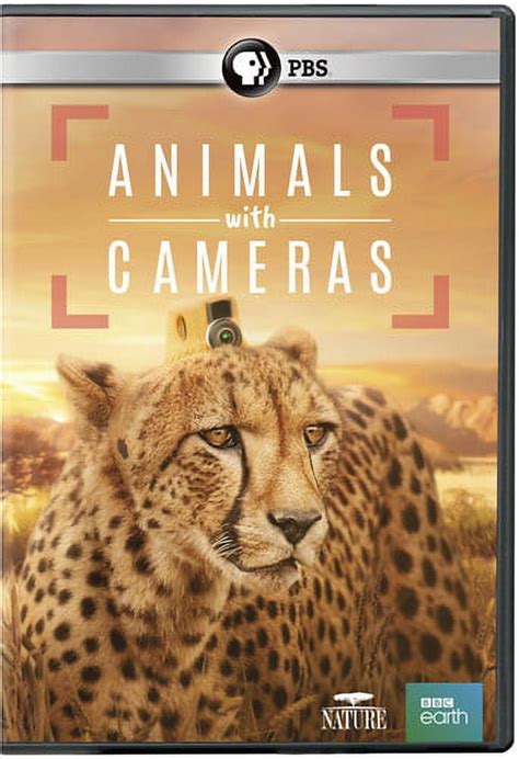 Nature: Animals With Cameras (DVD), PBS (Direct), Documentary - Walmart.com