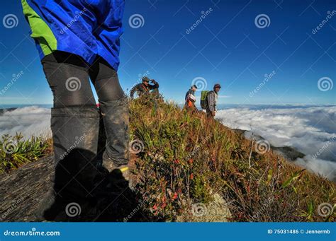 Mount Halcon trail editorial photo. Image of hiking, travel - 75031486