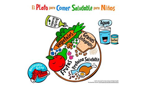 El Plato De Harvard Para Niños Legumbres Caballerolegumbres Caballero