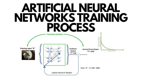 Artificial Neural Networks Training And Testing Process Youtube