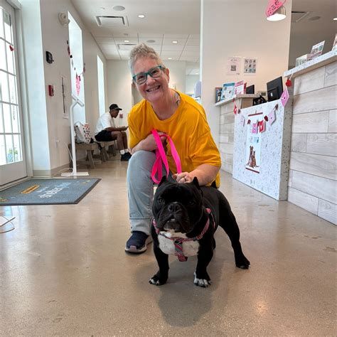 tampa bay dog adoption 1