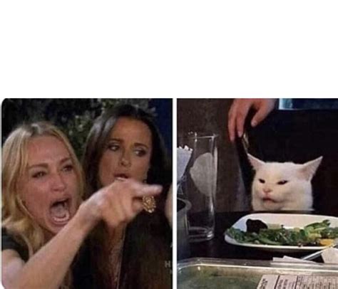 Angry Woman and Cat Blank Template - Imgflip