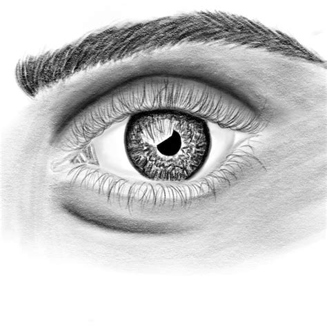 Realistic Eyeball Drawing