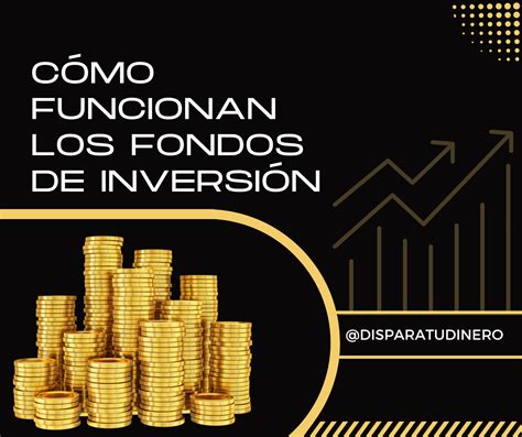 Cómo funcionan los fondos de inversión Dispara tu dinero