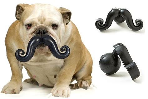 Dog Mustache Toy