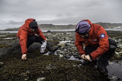 Chile finaliza exitosa expedición científica antártica EL DIARIO DE