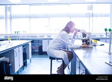 Wissenschaftler Arbeiten Mit Dem Mikroskop Im Labor Stockfotografie Alamy