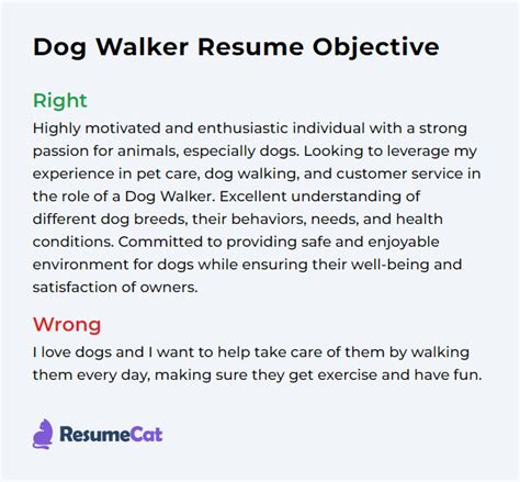 Top 17 Dog Walker Resume Objective Examples | ResumeCat