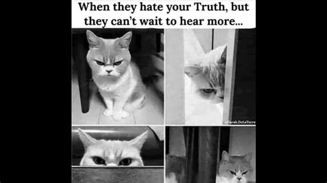 What Teen Vogue Cosmo Gq Men S Health Don T Want You To Know About Anal Sex