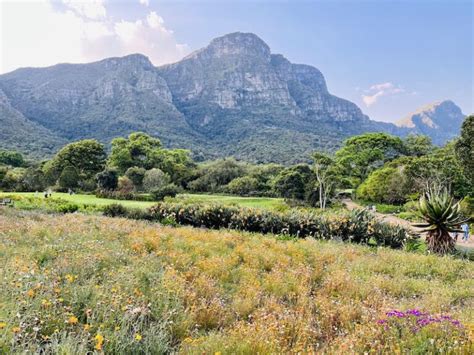 Kirstenbosch National Botanical Garden Newlands Cape Town With Kids