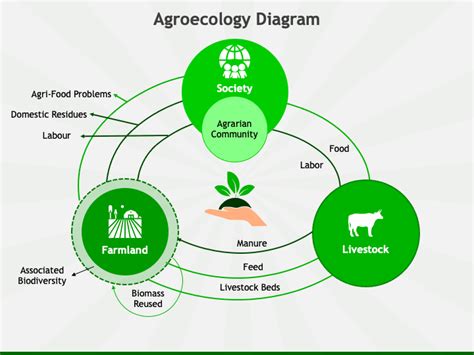 Agroecology PowerPoint and Google Slides Template - PPT Slides