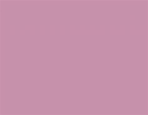 pink background  stock photo public domain pictures