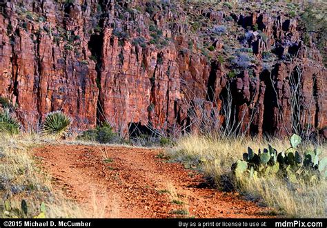 Red Dirt Road Heading Toward Parker Canyon Picture Sierra Ancha