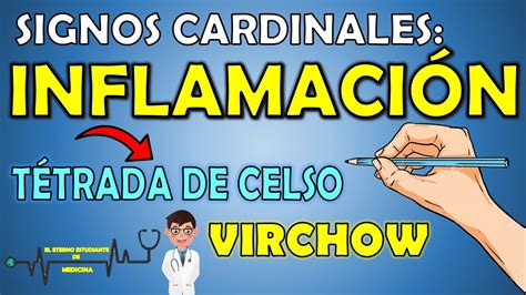 Signos Cardinales De Inflamaci N Medicina B Sica Hot Sex Picture