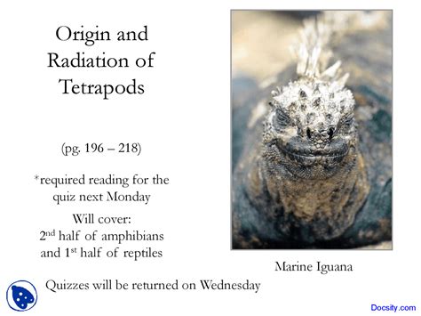 Origin And Radiation Of Tetrapods Vertebrate Natural History Lecture Slides Docsity