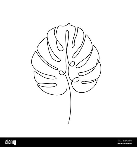 MONSTERA LEAF LINE ART Vector Tropical Leaf Continuous Line Plant