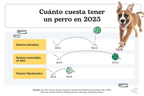 Cuanto Cuesta Comprar Un Perro En Una Tienda De Mascotas