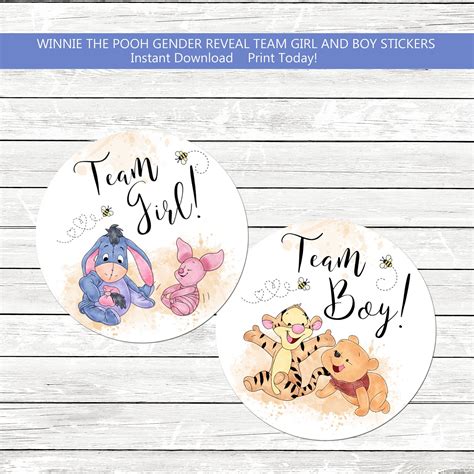 Winnie The Pooh Team Boy Team Girl Gender Reveal Stickers What Will Our