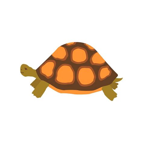 Cute happy Turtle. Colorful vector isolated hand drawn 22832667 Vector ...