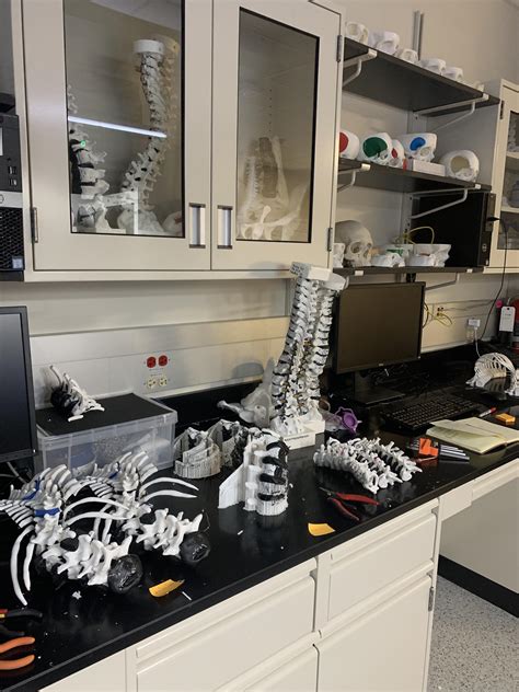 3D Printed Bone Structures : r/mildleyinteresting