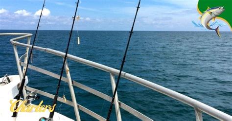 Six of the Best Bimini Fishing Charters to Choose From ~ 2025 Captain Dixon