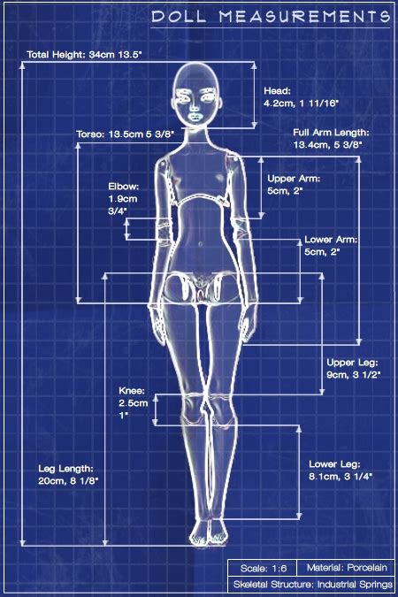 Doll Measurements by Marina-B on DeviantArt