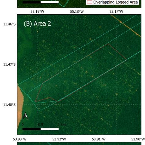 Airborne Lidar Flight Lines Overlaid On Top Of Truecolor Composites